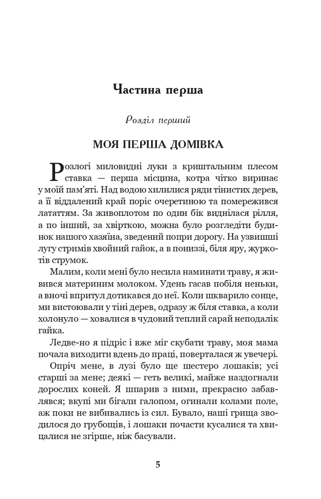 Чорний красунь - Анна С'юелл - фото 3