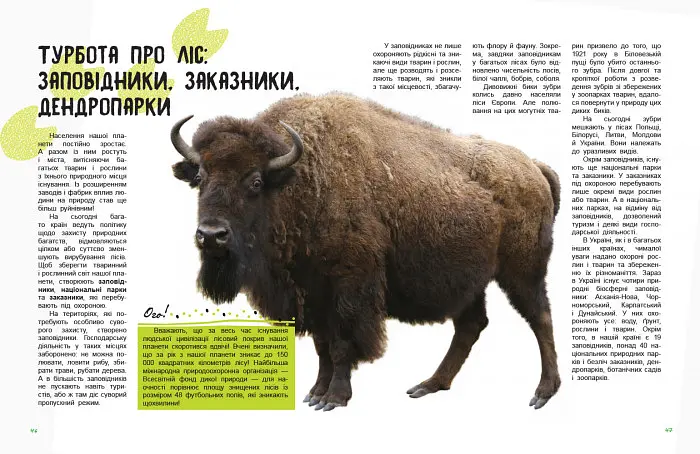 Дитяча книга " Світ і його таємниці: Життя лісу" 740002 укр. мовою - фото 3