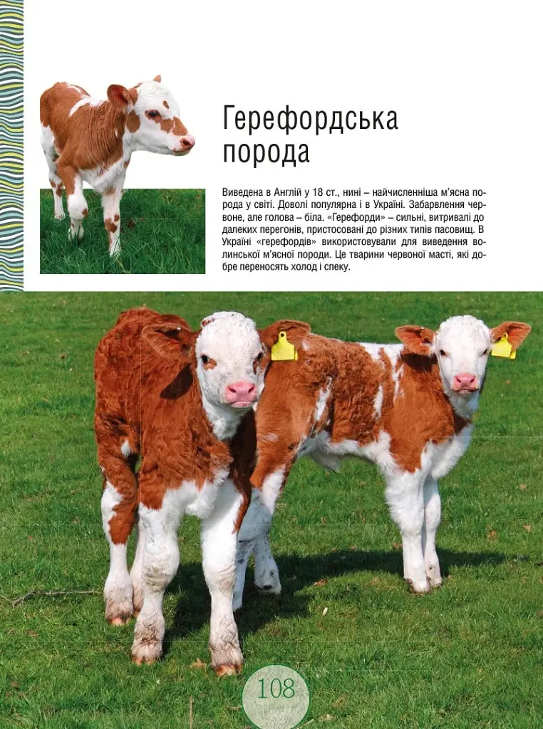 Малята-звірята - - фото 6