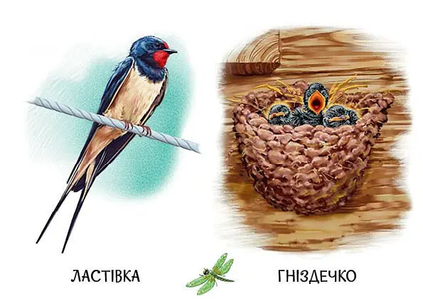 22 картинки. Хто живе у будиночку - - фото 2