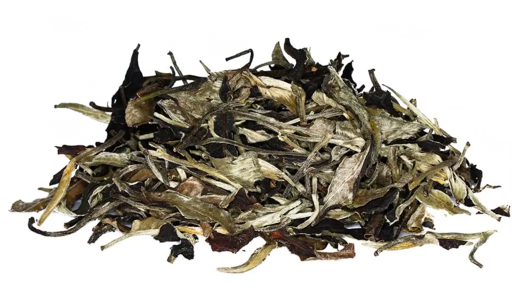 Юе Гуан Бай Ча - 50 г - фото 4