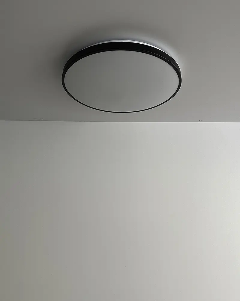Світильник стельовий Nowodvorski 10974 Agnes Round LED Pro 1x32W 4000K 2700Lm IP44 чорний - фото 2