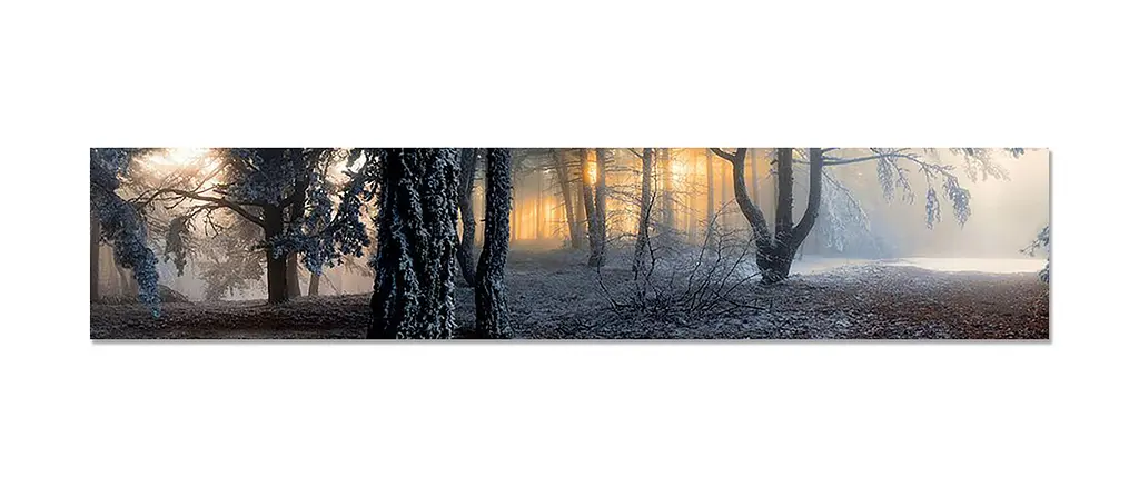 Кухонний фартух Туманний Ліс 3Д вінілова наклейка для кухні ПВХ дерева Природа Сірий Happy Pocket Z181337 - фото 7