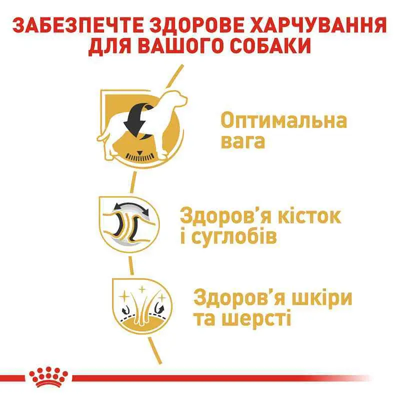 Сухий корм для дорослих собак породи Лабрадор Ретрівер Royal Canin Labrador Retriever Adult, 3 кг (2487030) - фото 6