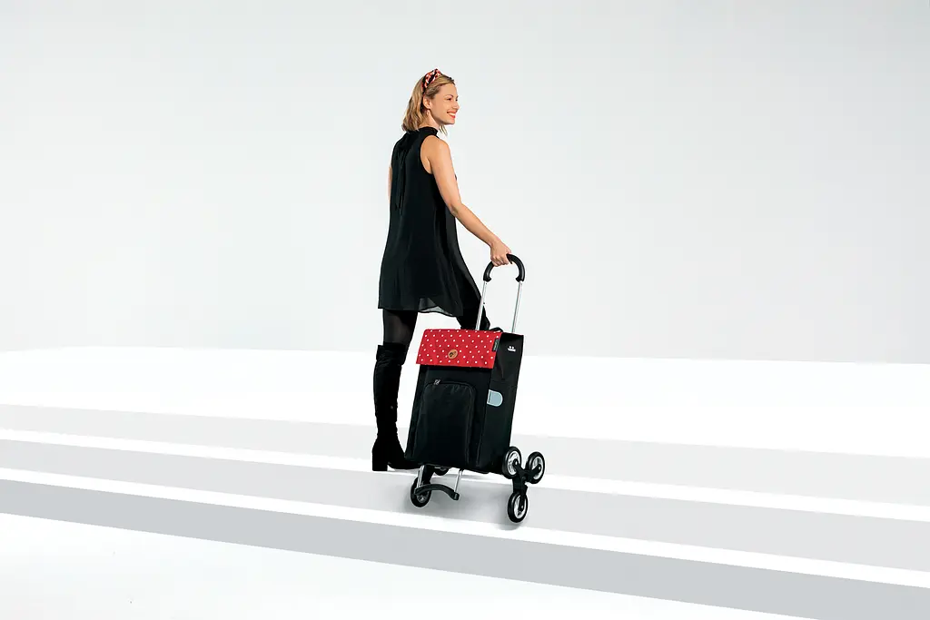 Сумка-візок Andersen Treppensteiger Scala Shopper Hera Silver (119-004-22) - фото 5