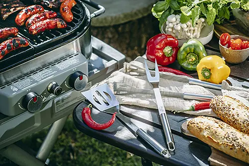 Набор приборов для барбекю гриль Adler AD 6730 в полиэстеровом футляре - фото 10