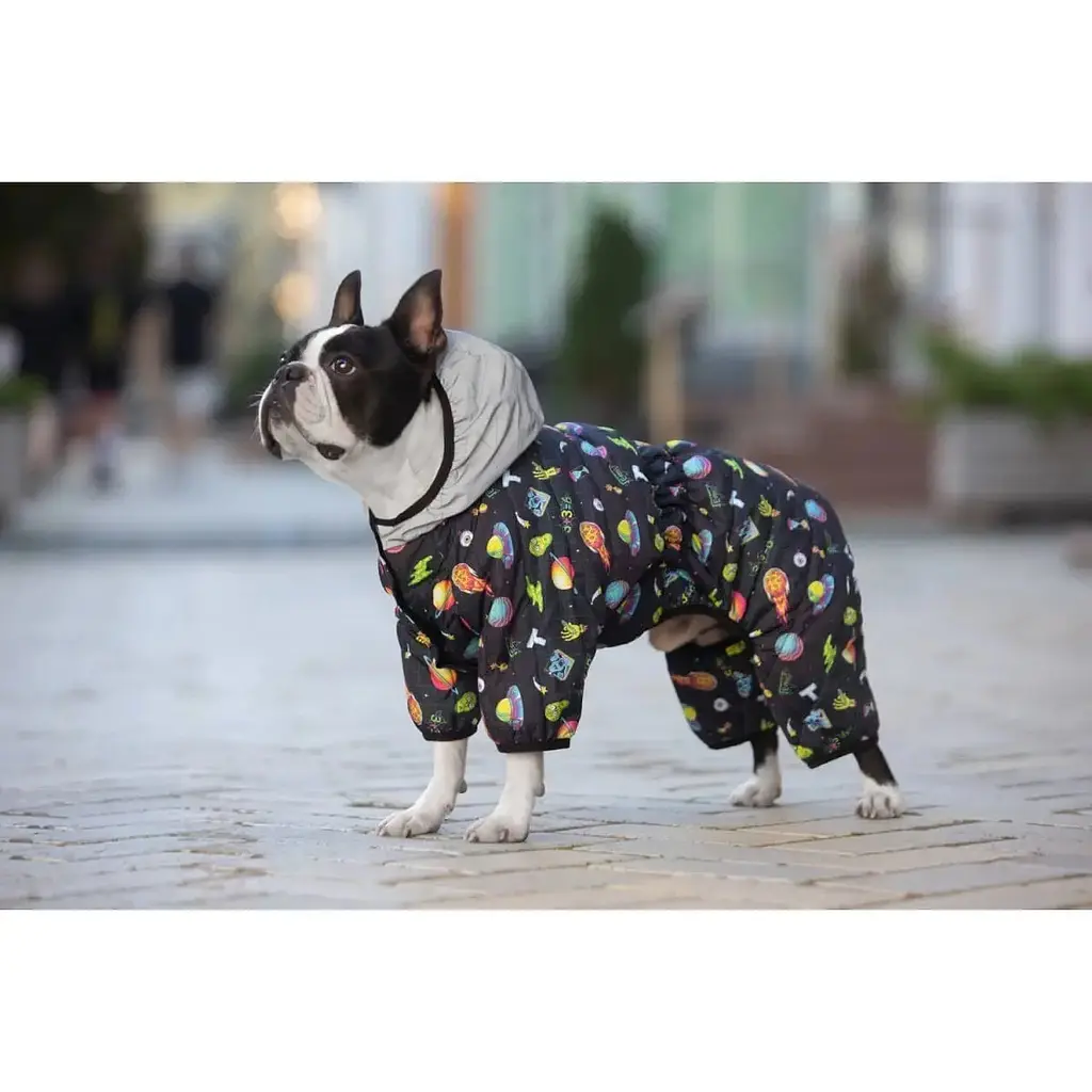 Комбінезон для собак Waudog Clothes, Рік та Морті 2, L50 - фото 2