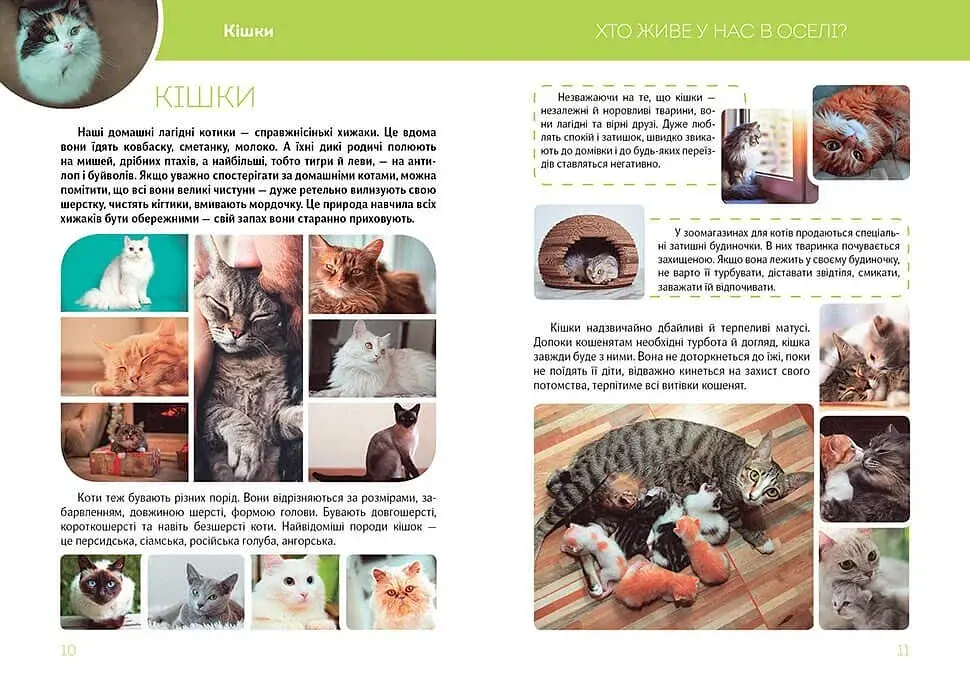 Велика книга про тварин - фото 6