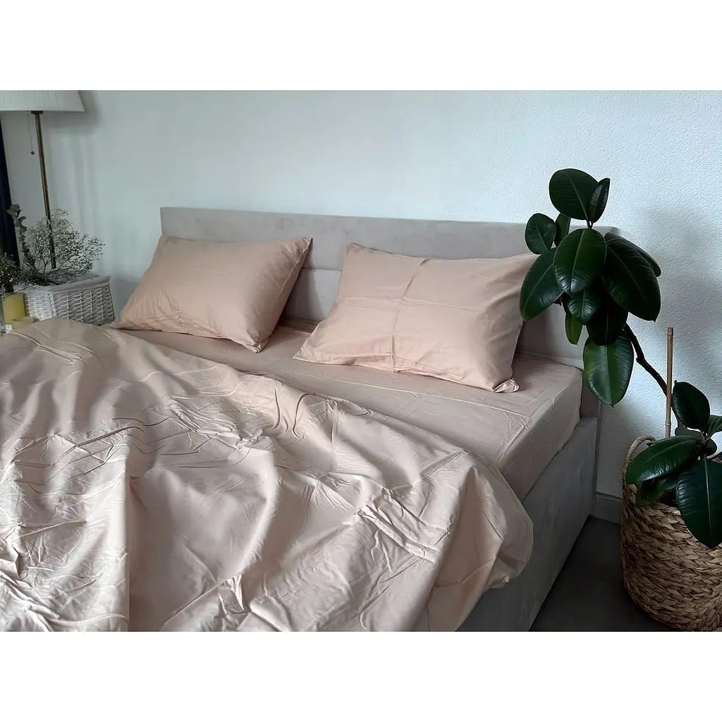 Комплект постільної білизни Ecotton євростандарт 4 одиниці (22903) - фото 3
