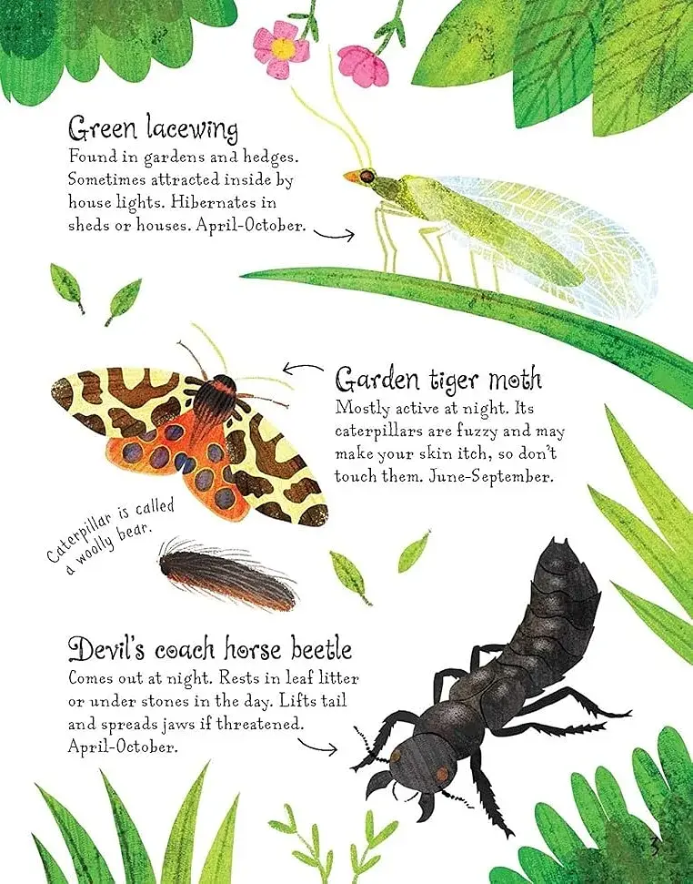 Bugs to Spot. Usborne Minis - фото 3