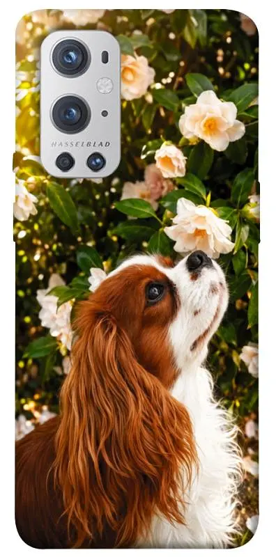 TPU чохол Demsky Flower spaniel для OnePlus 9 Pro