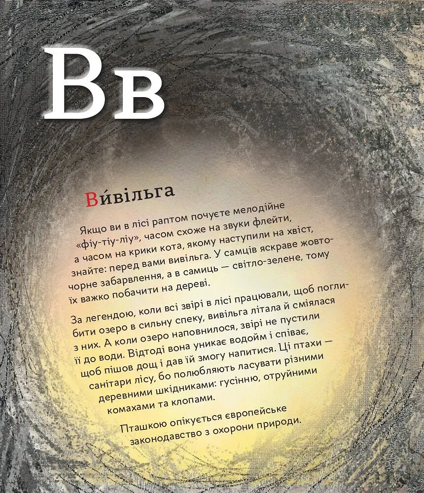 Книга Ранок ПтахАбетка. Українські пернаті - Ірена Панаріна (R901537У) - фото 9