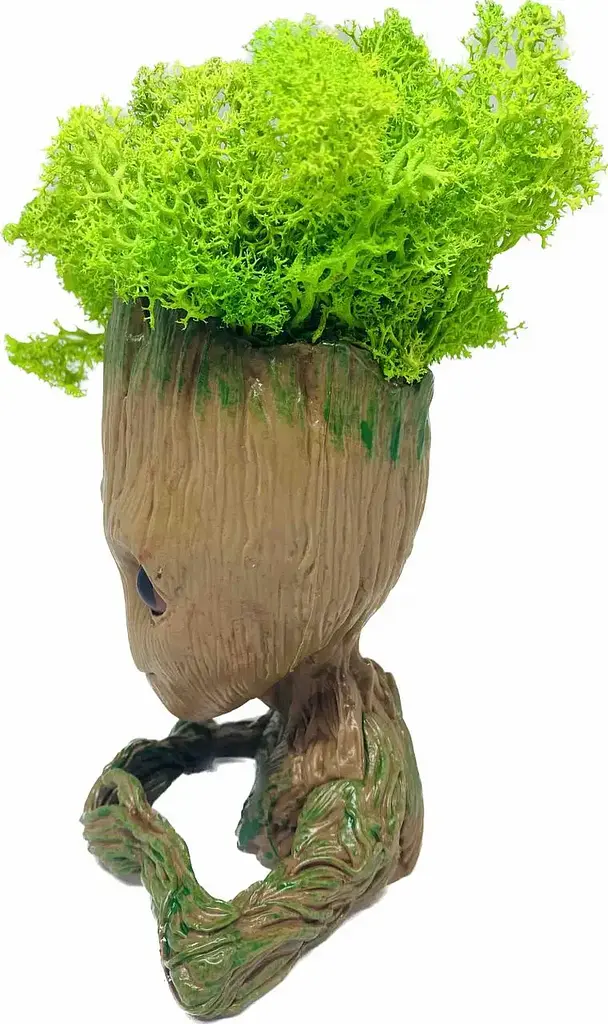 Кашпо горщик зі стабілізованим мохом Грут Groot G2 - фото 3