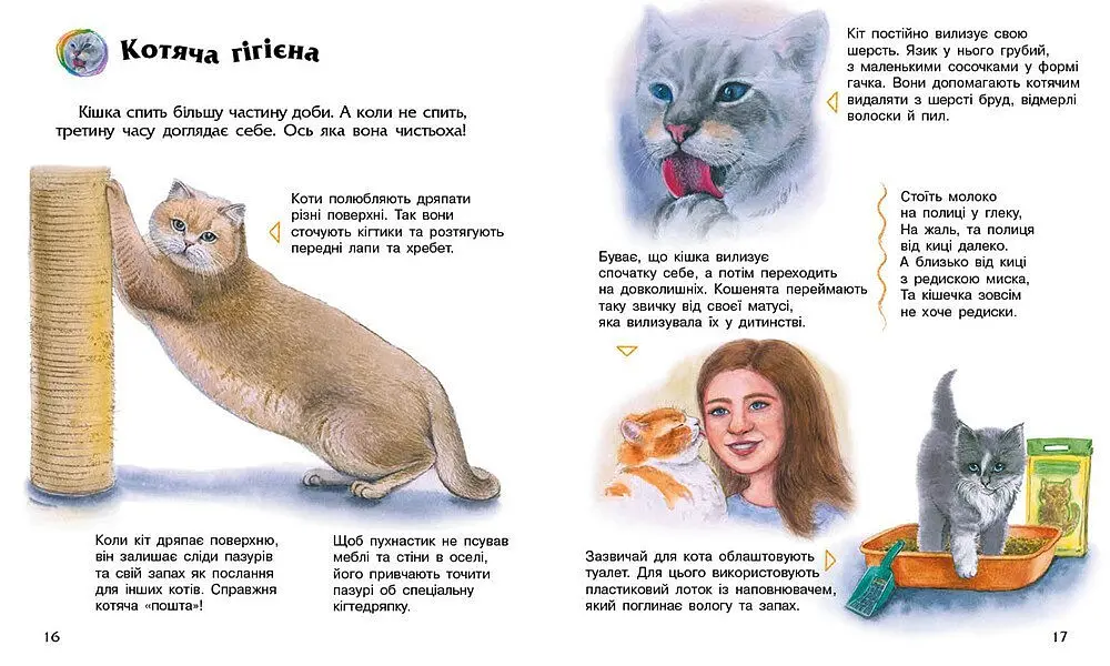 Книга Енциклопедія дошкільника: Коти Ранок С614039У shop (9786170992741) - фото 3