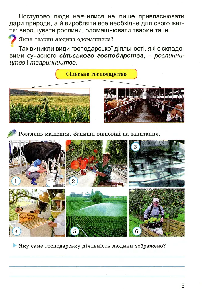 Фінансова арифметика 3 клас. Зошит-посібник з фінансової грамотності - фото 4