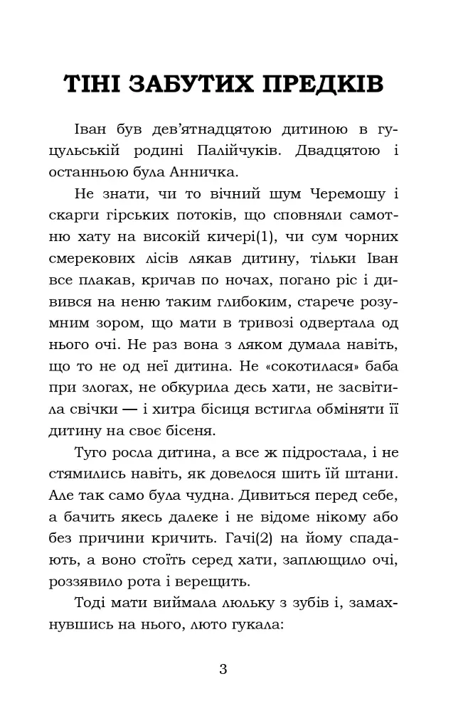 Тіні забутих предків. Intermezzo. Дорогою ціною - фото 3