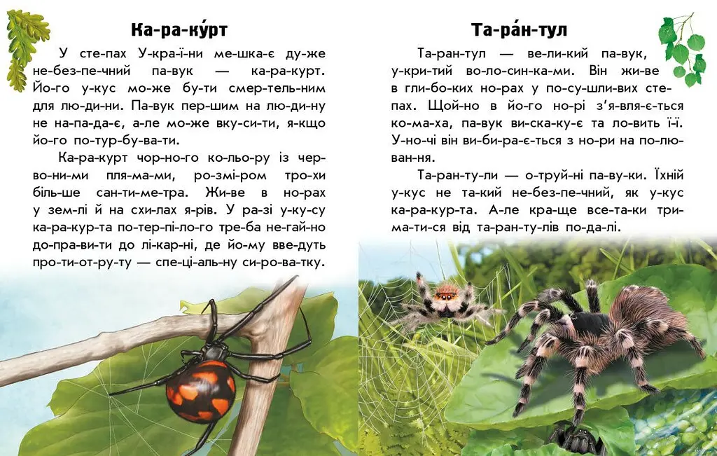 Книга Ранок Читаю про Україну. Тварини степів - Юлія Каспарова (С366022У) - фото 4
