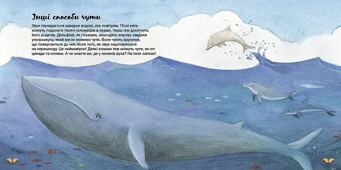 Які органи чуття у тварин? - фото 4