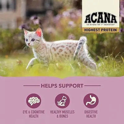 Сухий корм для кішок Acana Highest Protein Kitten Recipe 1.8 кг (0064992723255) - фото 5