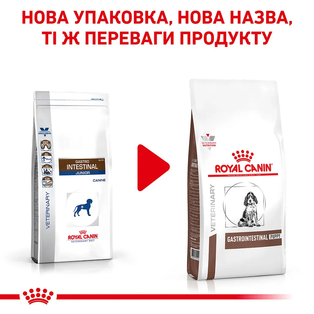 Сухий дієтичний корм для кошенят Royal Canin Gastrointestinal Kitten при порушенні травлення, 2 кг (1228020) - фото 2