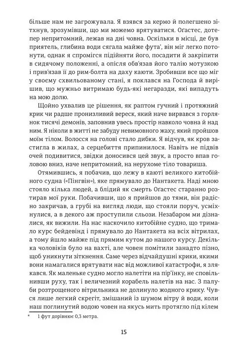 Оповідь Артура Ґордона Піма - Едгар Аллан По - фото 10