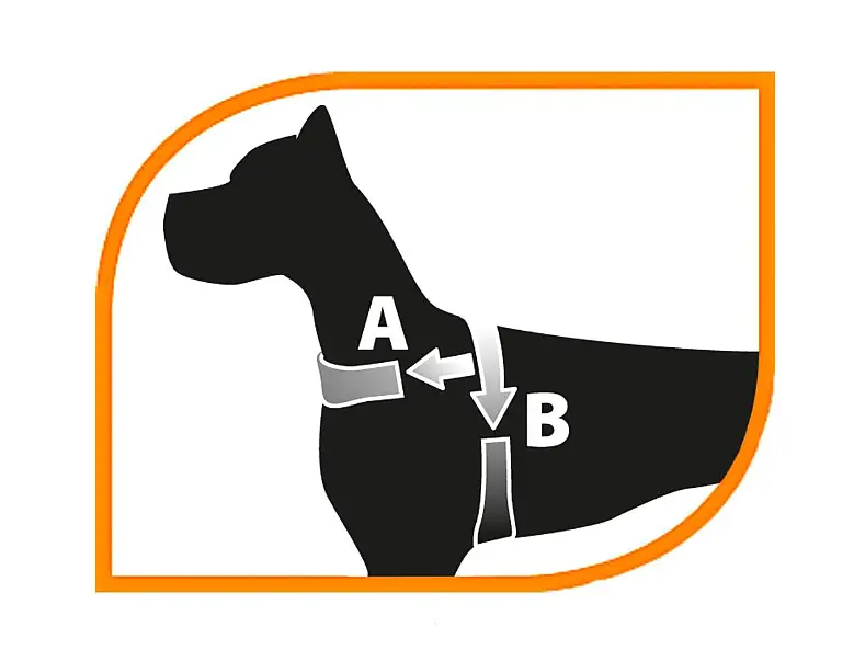 Шлея для собак Ferplast Sport Dog P XS нейлонова A: 39 см B: 48-58 см 78004519 - фото 2