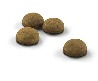 Сухой корм для домашних кошек Royal Canin Indoor Long Hair длинношерстных, мясо птицы и кукуруза, 0,4 кг - фото 2