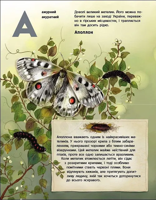 Живий світ України. Тварини та їх родичі в природі й у книжках - Наталія Коваль - фото 3