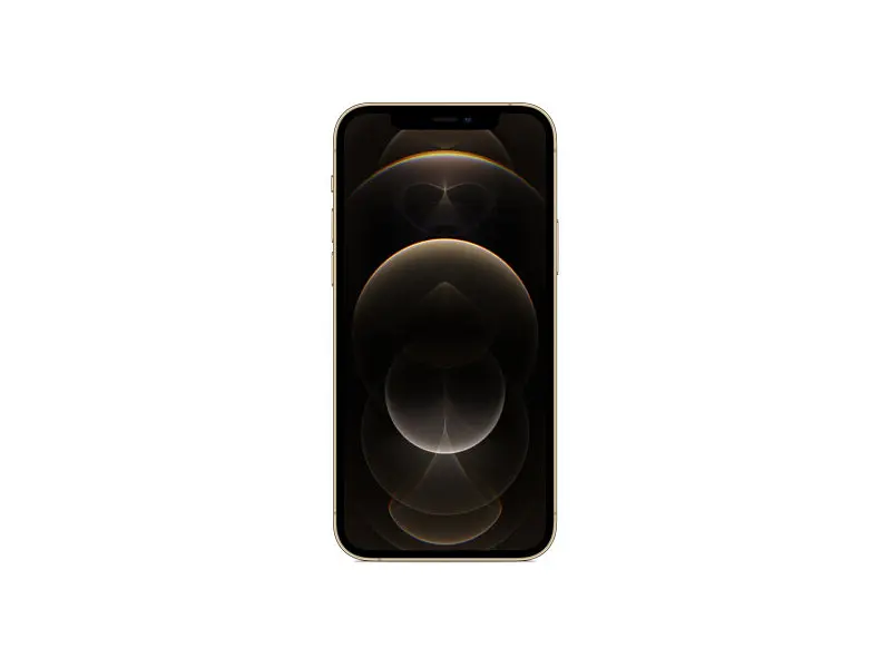 Смартфон Apple iPhone 12 Pro Max 128GB Gold (MGD93) - фото 2