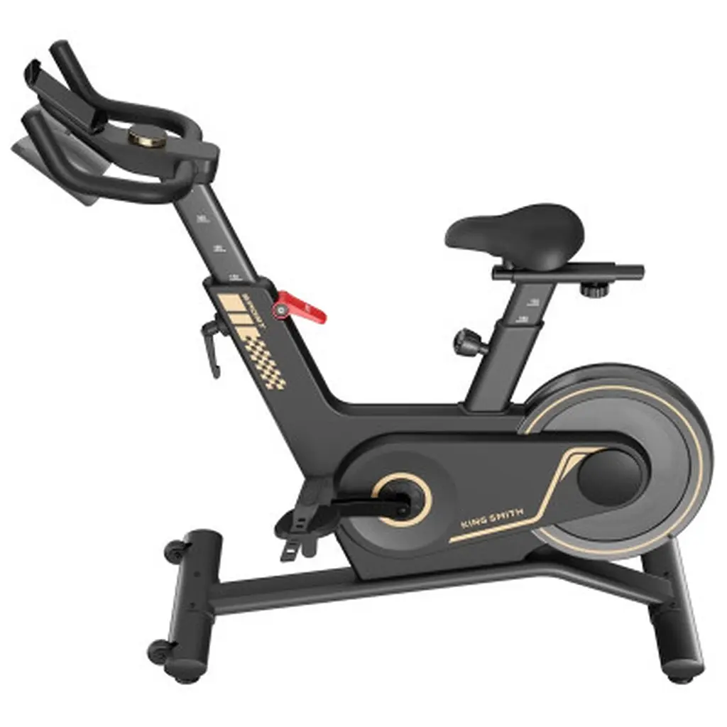Велотренажер Kingsmith Spinning bike PB08S black (PB08S BLACK) - фото 2