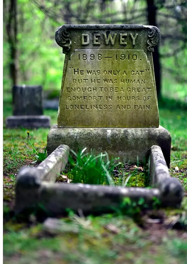 Faithful unto Death. Pet cemeteries, animal graves and eternal devotion - фото 21