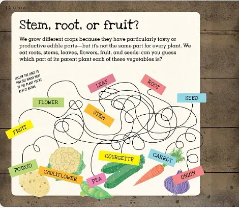 Grow. A Family Guide to Growing Fruit and Veg - фото 3