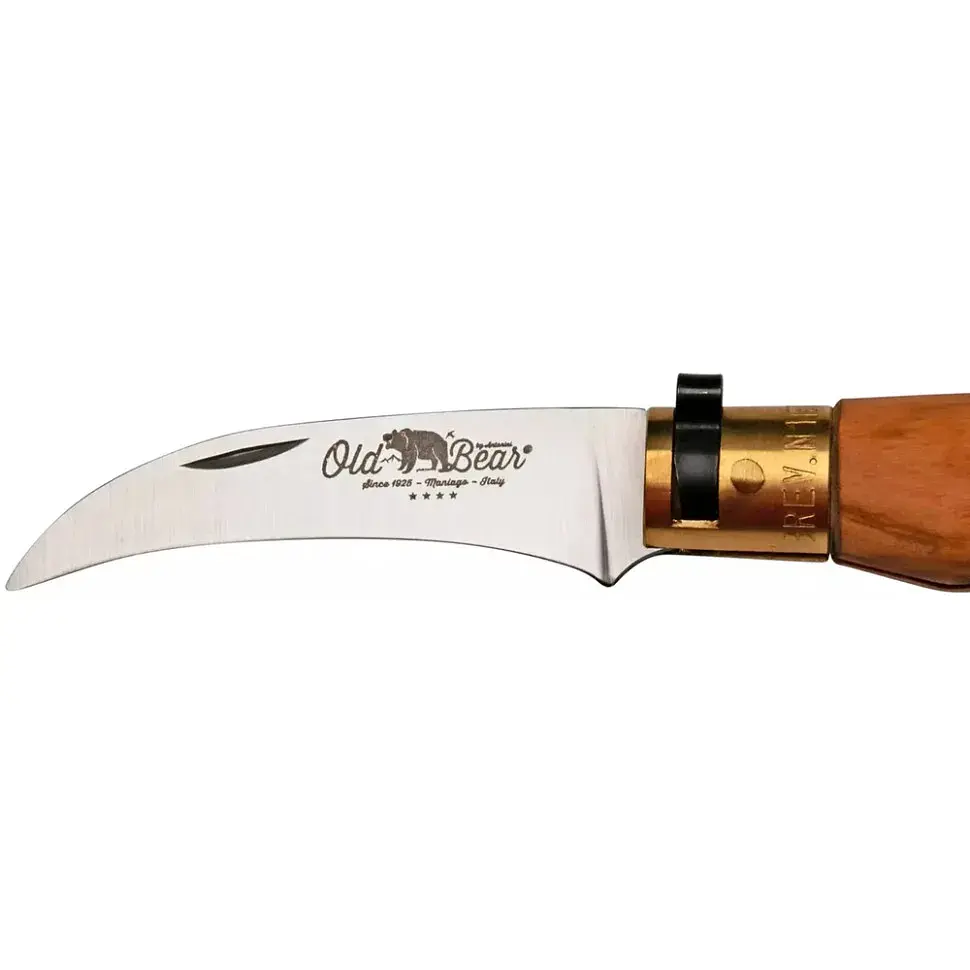 Ніж Old Bear Mushroom M, 420 steel, Olive wood - фото 3
