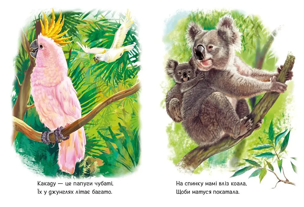 Книга Малятам про звіряток Збірник: Лісові звірята Ранок М212015У shop (9786170978752) - фото 3