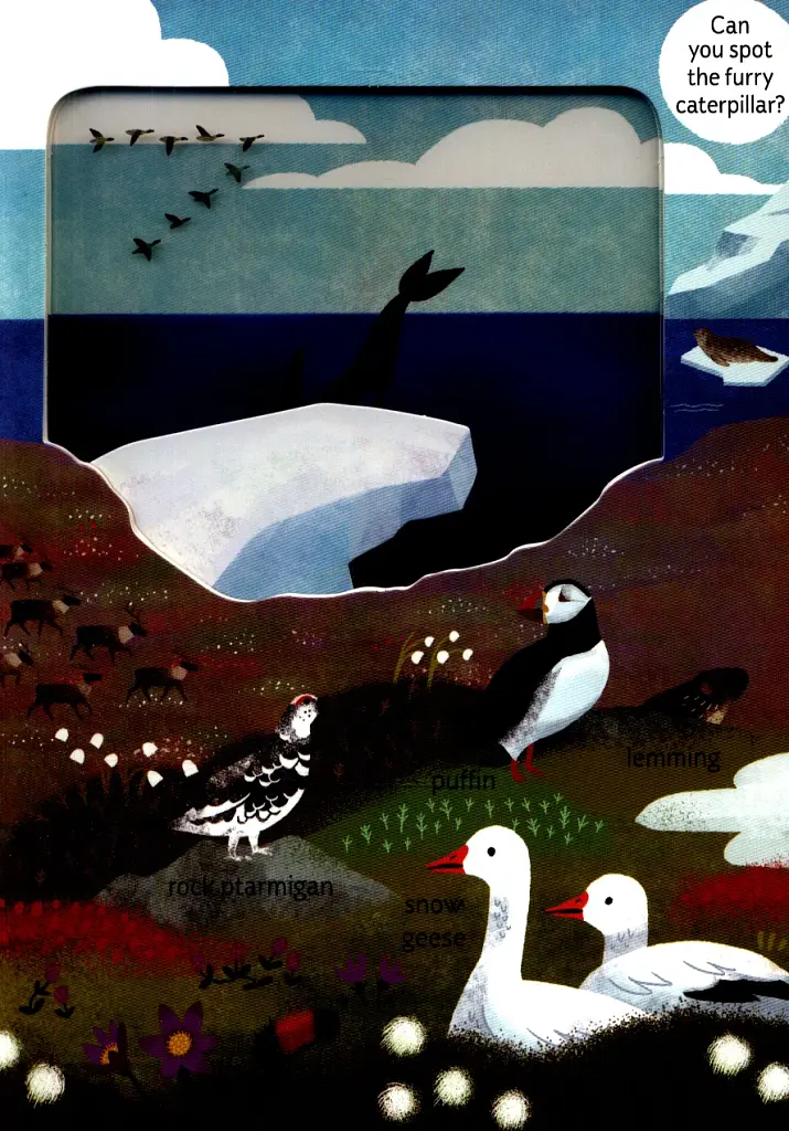 Look Closer into the Arctic - фото 4
