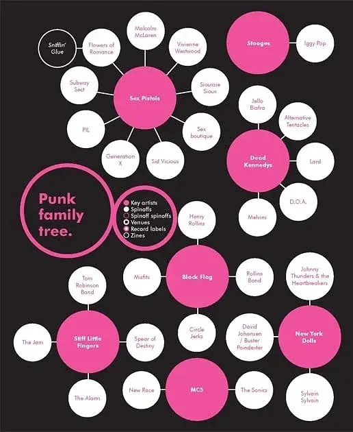 A Field Guide to Punk - фото 6