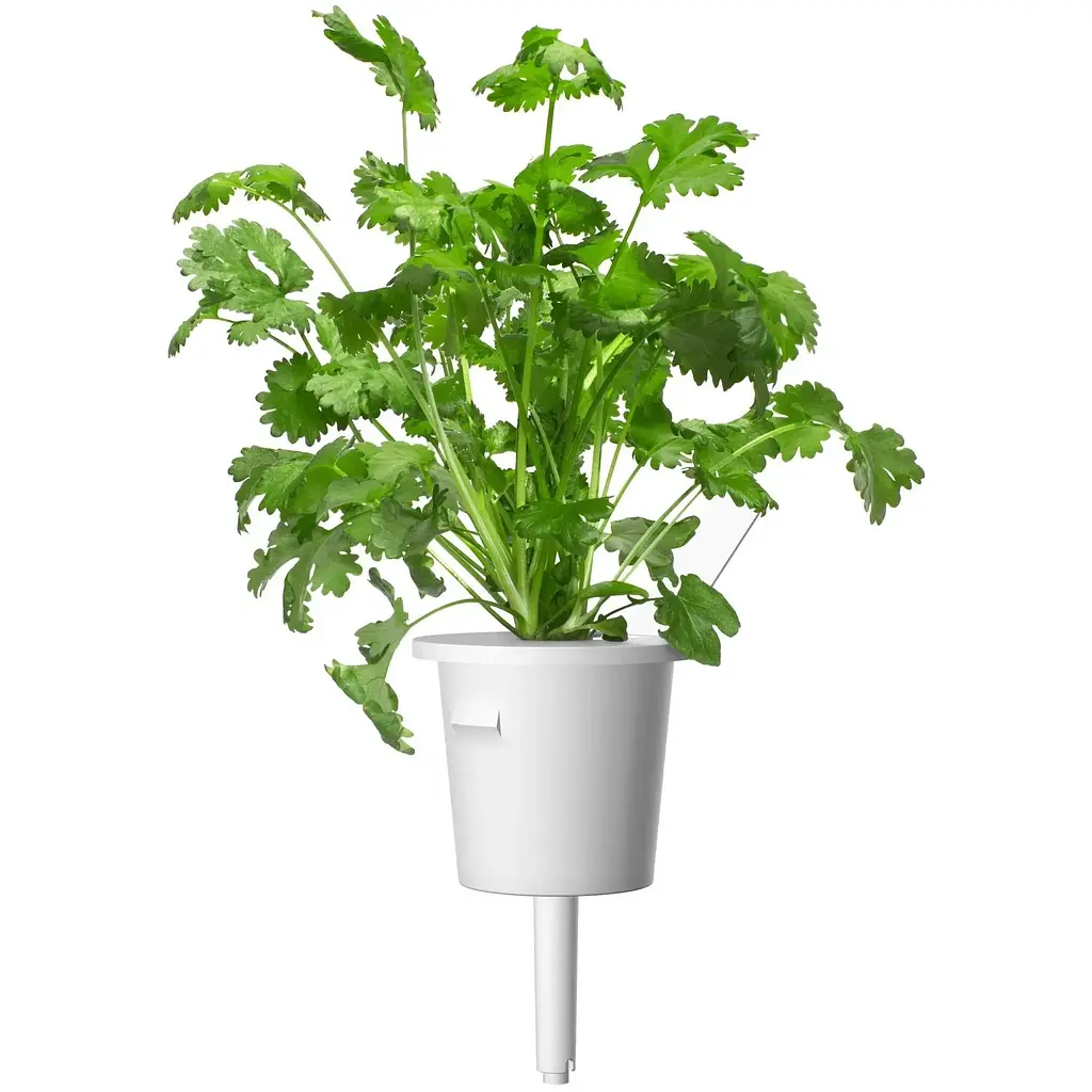 Змінний картридж Click & Grow Smart Soil Коріандр (8417) - фото 3