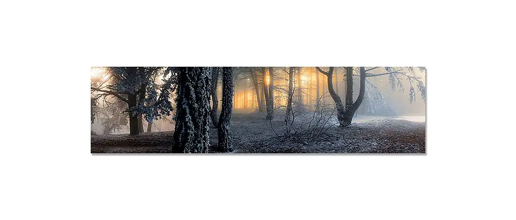 Кухонний фартух Туманний Ліс 3Д вінілова наклейка для кухні ПВХ дерева Природа Сірий Happy Pocket Z181337 - фото 7