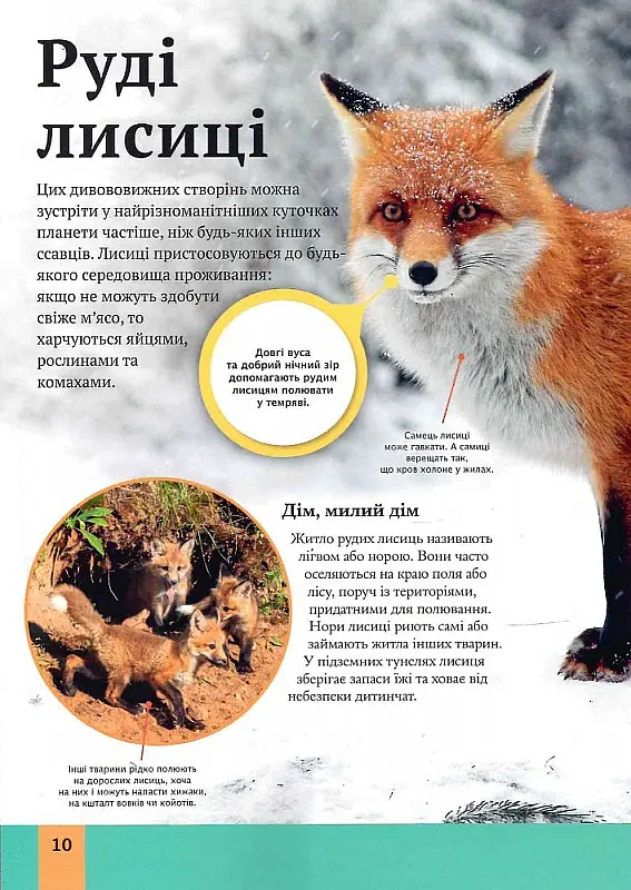 Дитяча енциклопедія хижаків - Алекс Вульф - фото 7