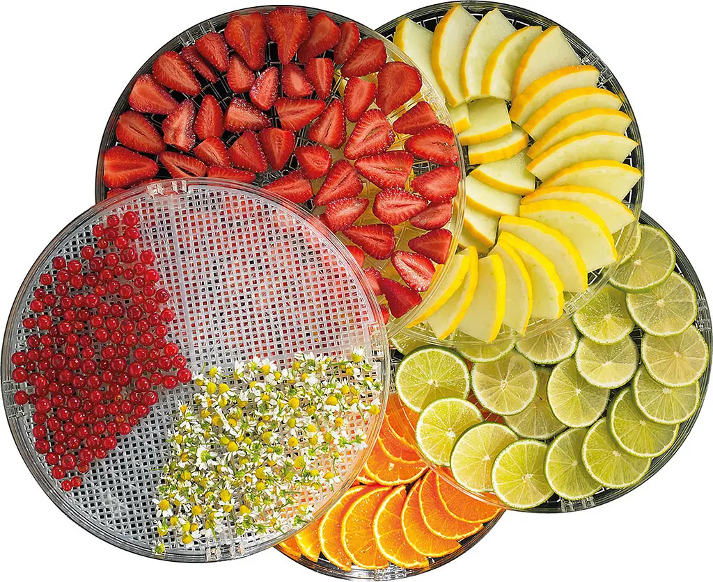 Сушилка для овощей и фруктов Gorenje FDK 20 MG [103286] - фото 3