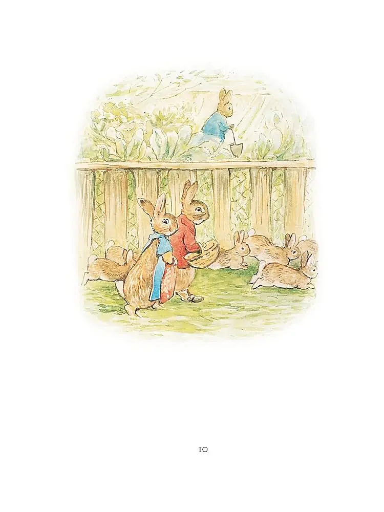 My First Peter Rabbit Collection - Беатрікс Поттер - фото 7