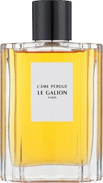 Оригінал Le Galion L'ame Perdue 100 мл Парфумована вода
