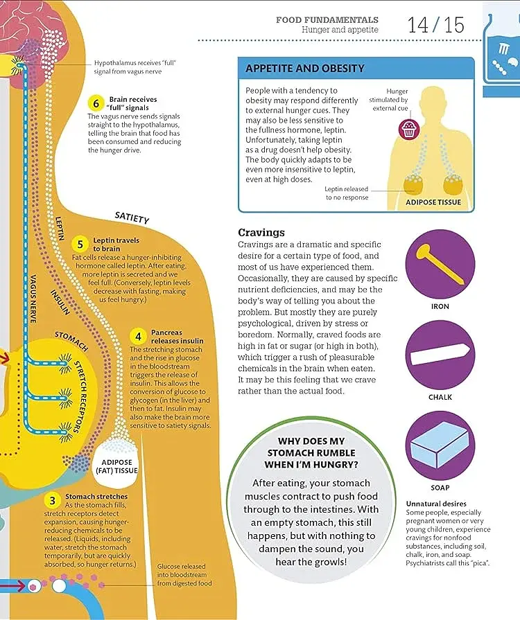 How Food Works: The Facts Visually Explained - фото 13
