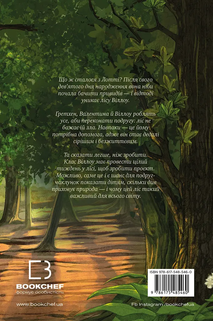 Книга BookChef Дівчинка на ім’я Віллоу. Шелест крил - фото 2
