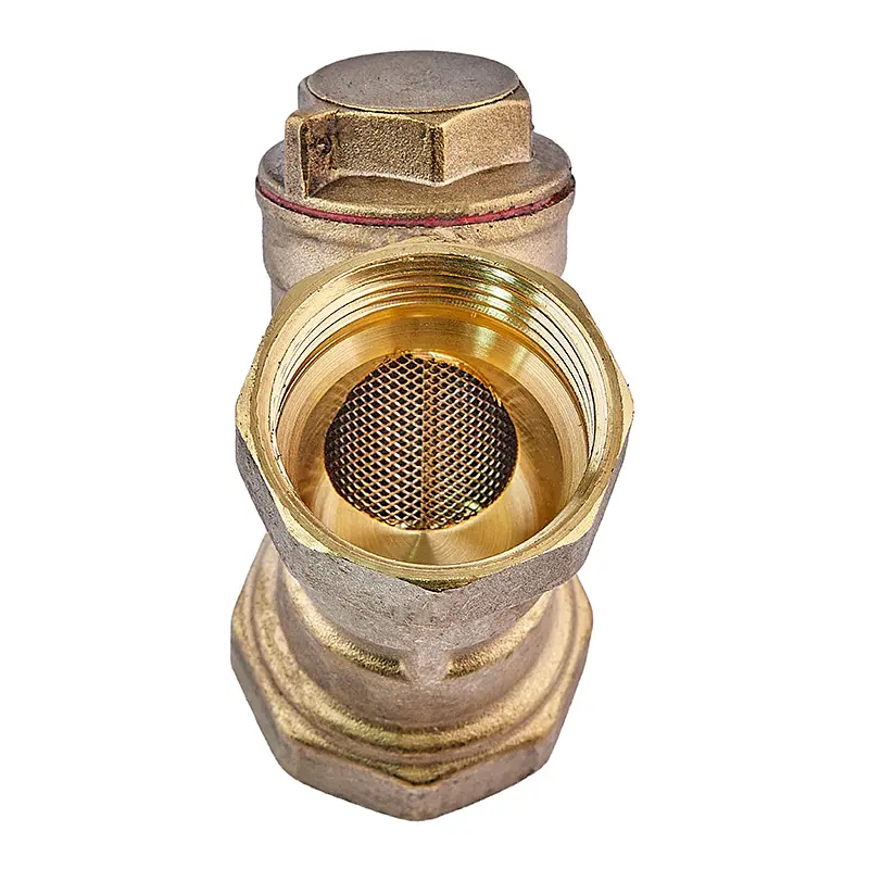 Фільтр грубої очистки з вушком (латунь) Waterpro WP200-25 - 1" WP3306 - фото 2