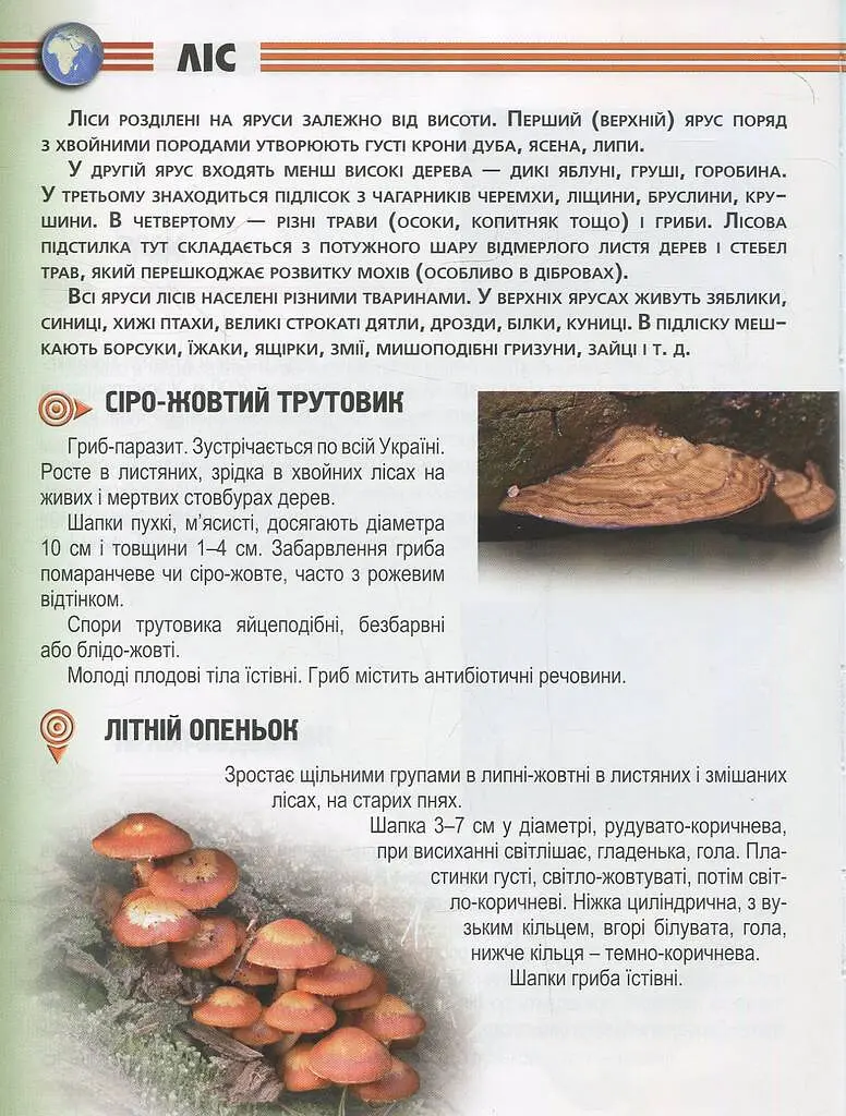 Енциклопедія для допитливих А5 : Рослини і тварини України (Українська ) - фото 7