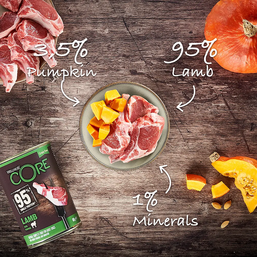 Консерви для собак Wellness CORE Single Protein Lamb with Pumpkin з ягнятком - фото 3