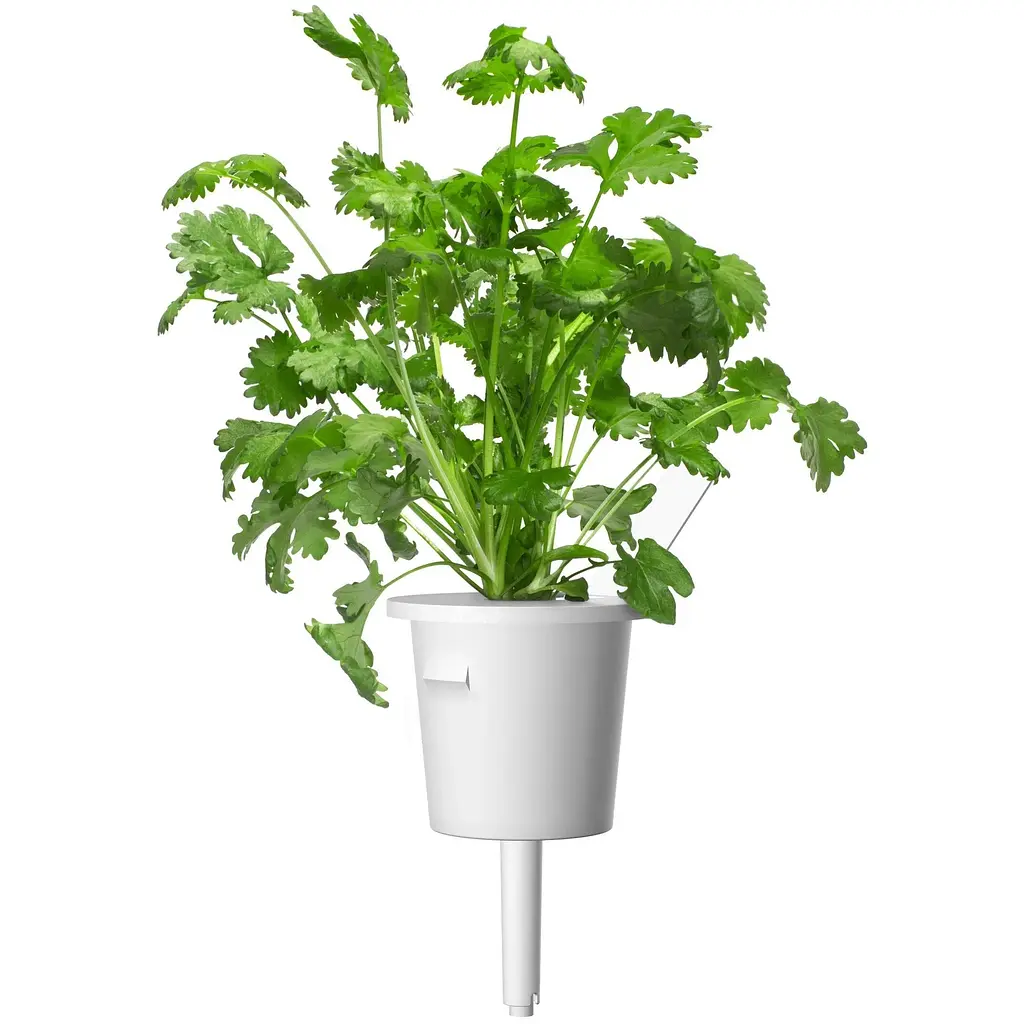 Змінний картридж Click & Grow Smart Soil Коріандр (8417) - фото 3