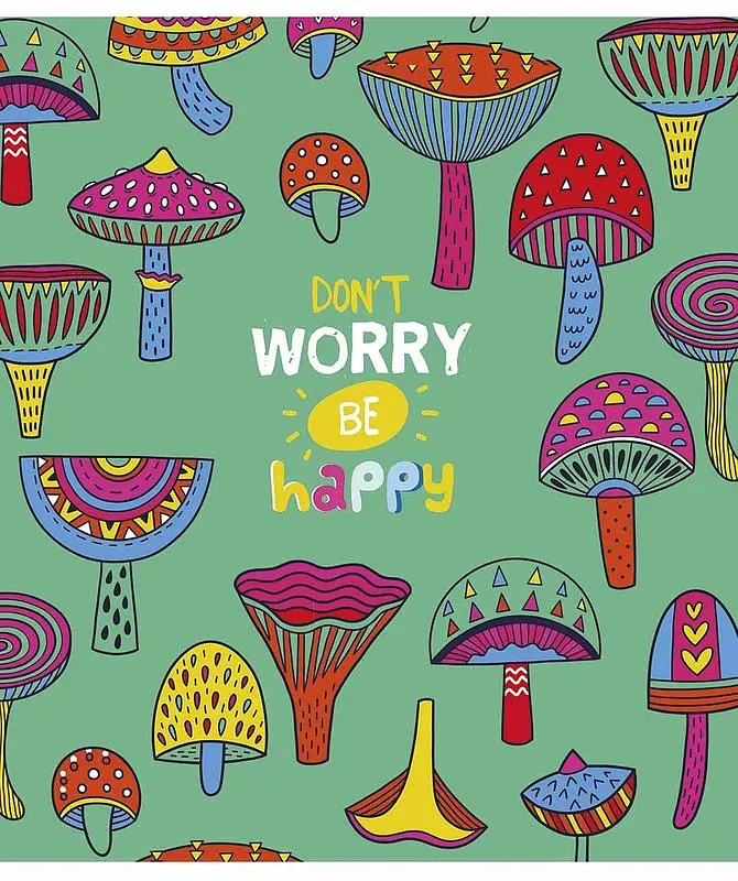 Зошит загальний Школярик Genius Happy vibes у лінію 24 аркушів 25 шт. (024-2980L) - фото 3