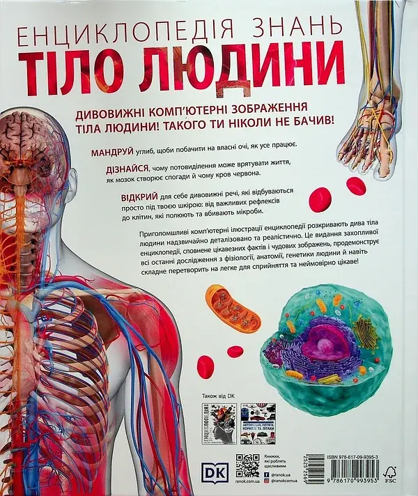 Енциклопедія знань. Тіло людини - фото 2